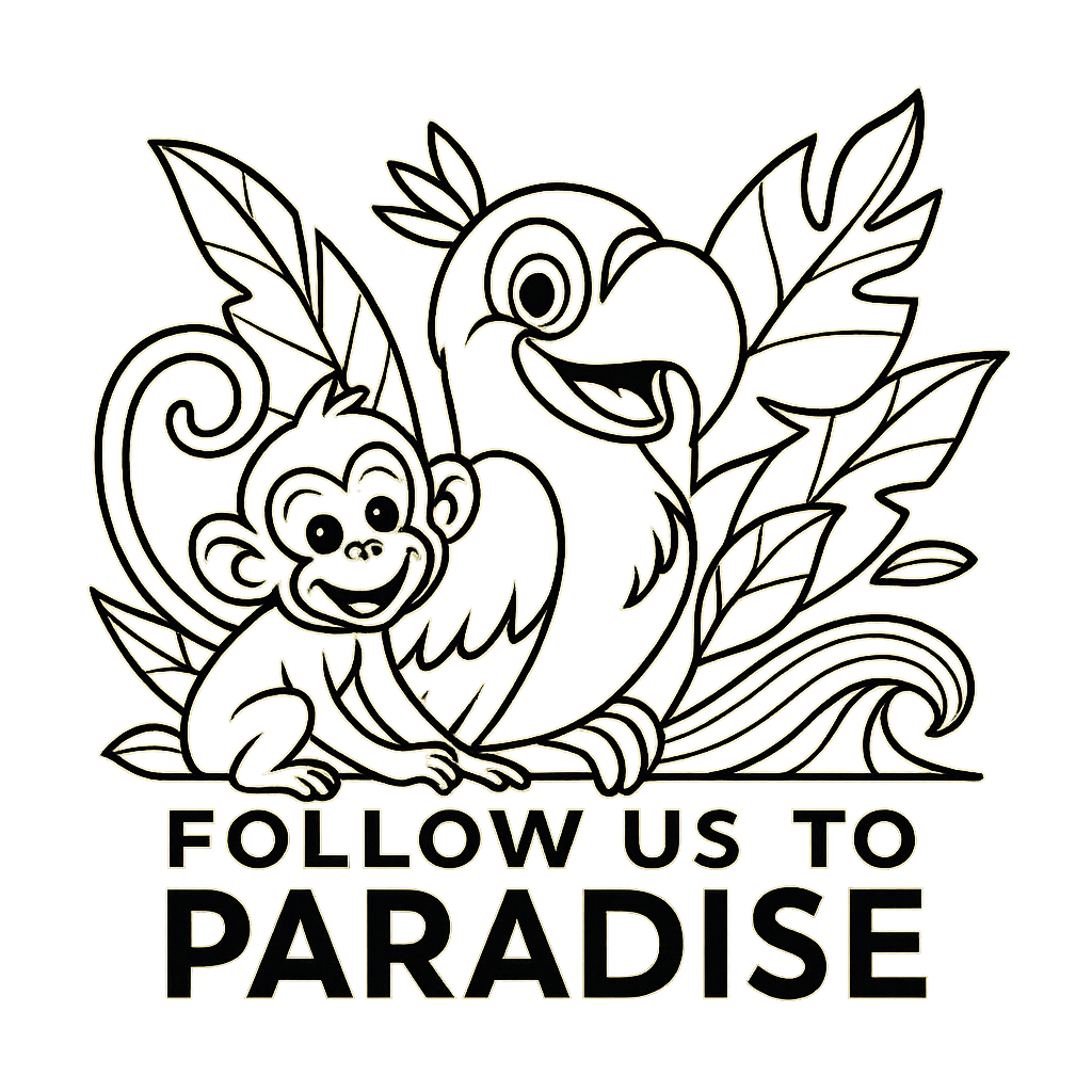 Follow Us To Paradise