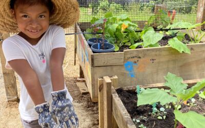 Community Gardens